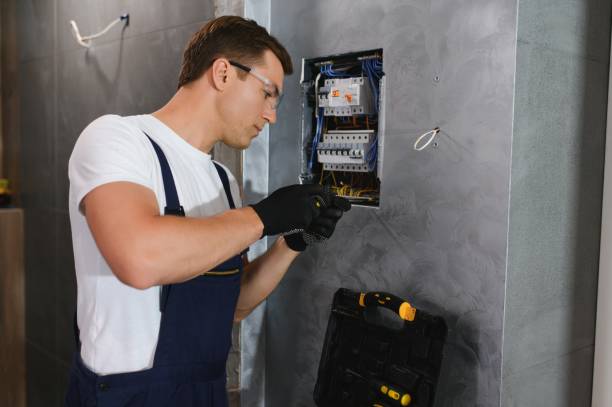 Best Electrician for Home Renovation  in Mlstadt, IL