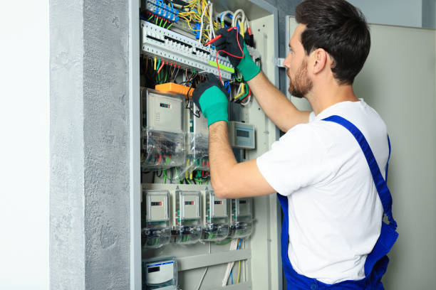 Best Electrical Upgrades for Homes  in Mlstadt, IL